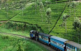 Ooty tours package